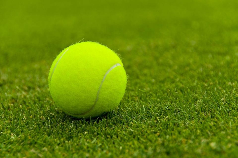 Wimbledon 2023: Bet £10 on tennis and get £30 in free bets with Bet UK