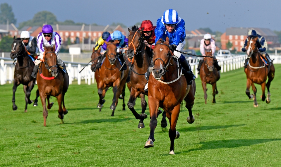 Tote World Pool makes debut at the Curragh PLUS claim £20 in free bets to spend on horse racing