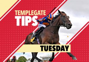 Horse racing tips: Templegate NAP can get revenge for losing in a photo last week off the same mark