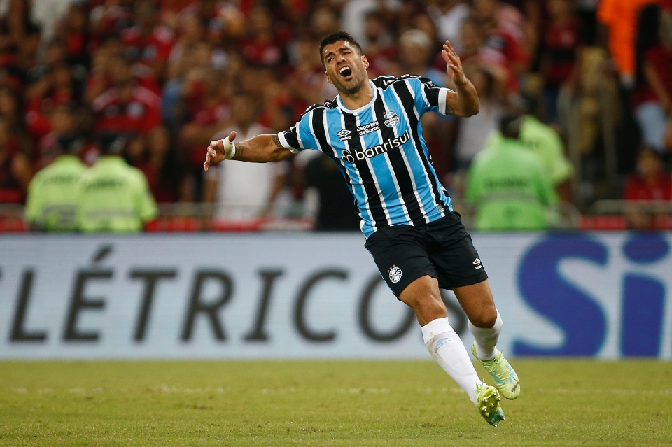 Luis Suarez ‘tells Gremio he wants to retire from football’ as he battles persistent knee pain