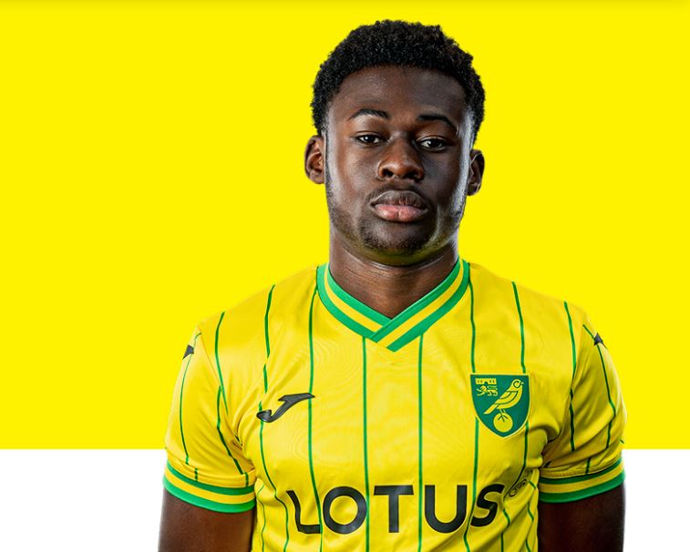 Chelsea complete SECOND transfer signing within 24 hours as Championship wonderkid joins Blues from Norwich