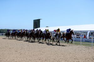 Northumberland Plate horse numbers – full list of runners for Newcastle’s Pitmen’s Derby