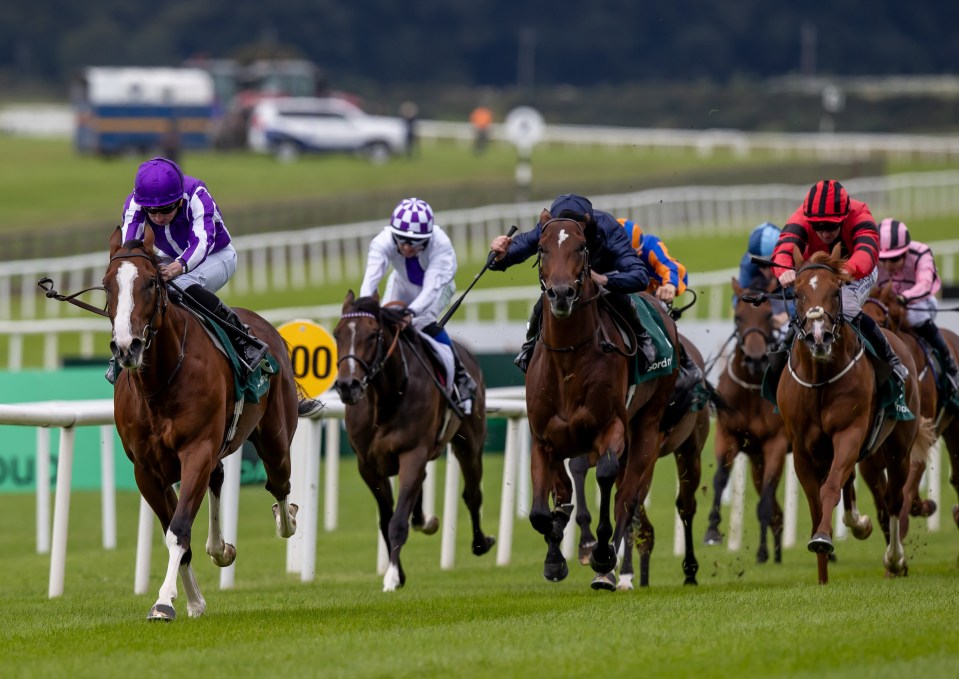 Punters predict amazing £2.5million horse trained by Aidan O’Brien could be ‘the best ever’