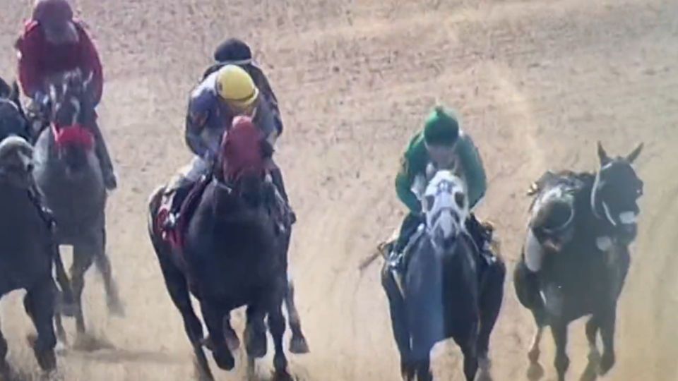 Jockey’s Tom Cruise-esque ‘death-defying stunt’ leaves punters speechless