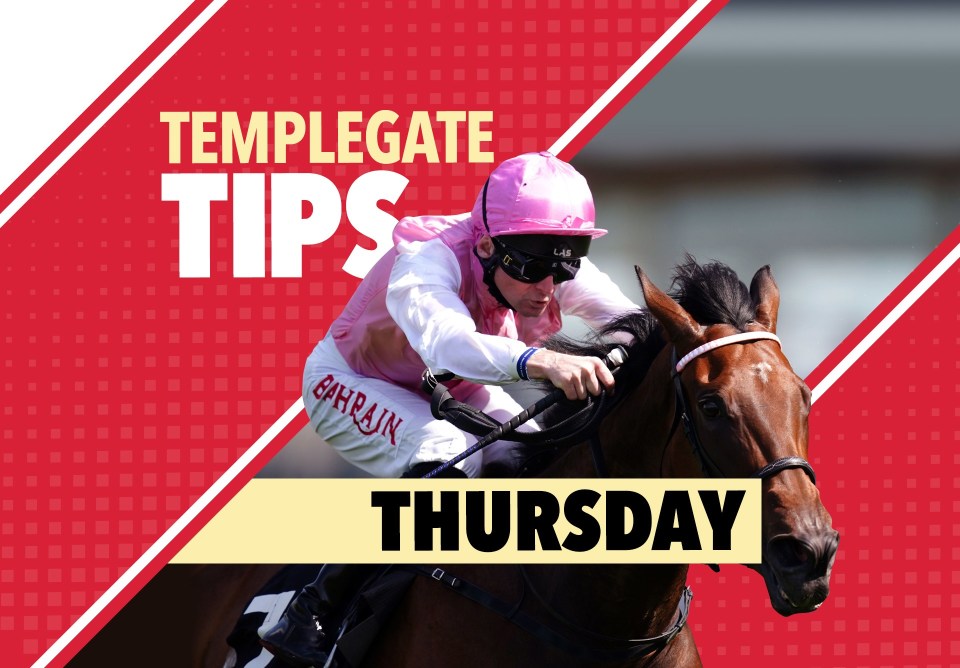 Horse racing tips: Templegate NAP has a good turn of foot and can exploit opening mark