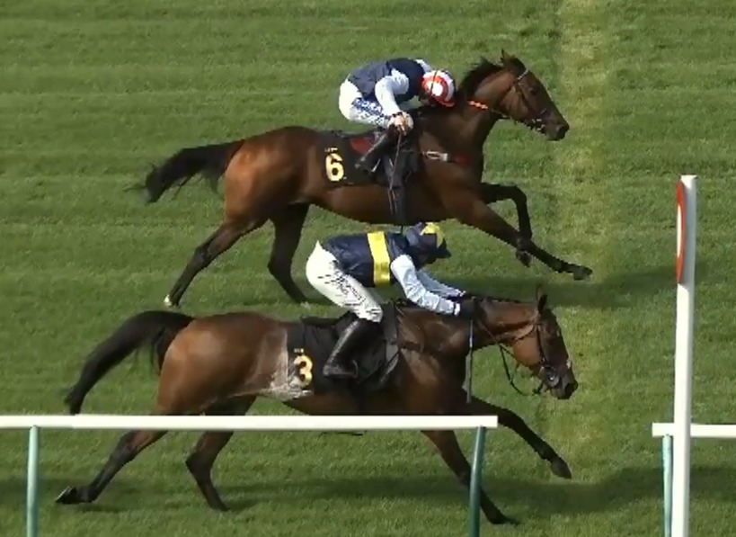 Harry Redknapp at centre of photo-finish row after camera mysteriously breaks as horses cross line