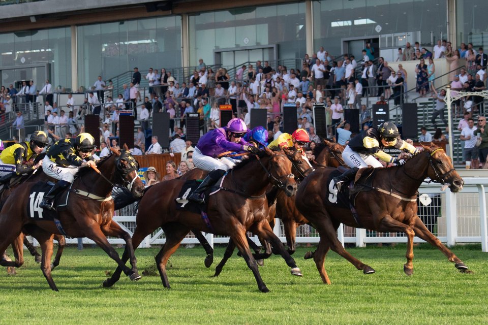 Templegate’s Tote placepot picks with £150,000 up for grabs on St Leger day at Doncaster