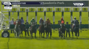 Blindfolded horse wins race after ‘going off to catch a bus’ in amazing Sandown contest