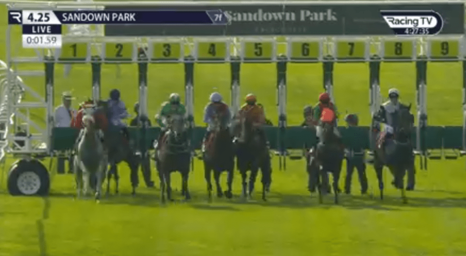 Blindfolded horse wins race after ‘going off to catch a bus’ in amazing Sandown contest