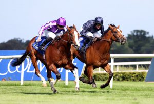 Templegate’s Tote Placepot tips with £150,000 to be won at Newmarket on Saturday