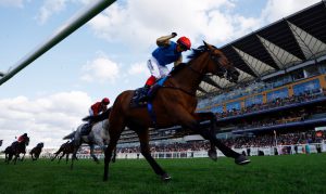 St Leger Festival free bets and sign up deals 2023: Best new customer betting offers for Doncaster