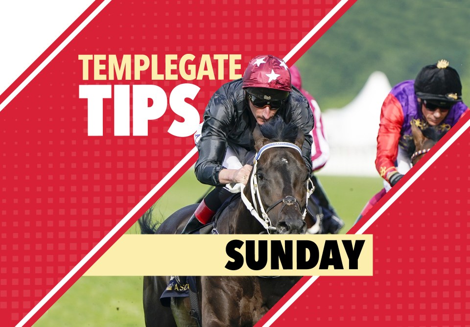 Horse racing tips: Templegate’s NAP goes handicapping off a very tempting mark at Epsom