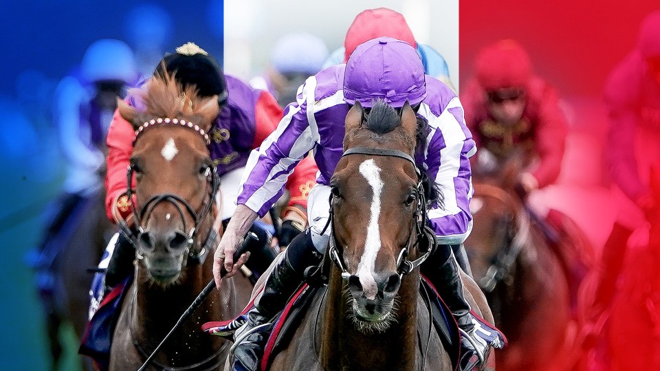 Templegate’s Arc de Triomphe tip and complete punting guide to Sunday at Longchamp