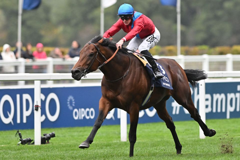 This 25-1 Arc contender looks all set for the Longchamp showstopper – his price makes no sense at all to me