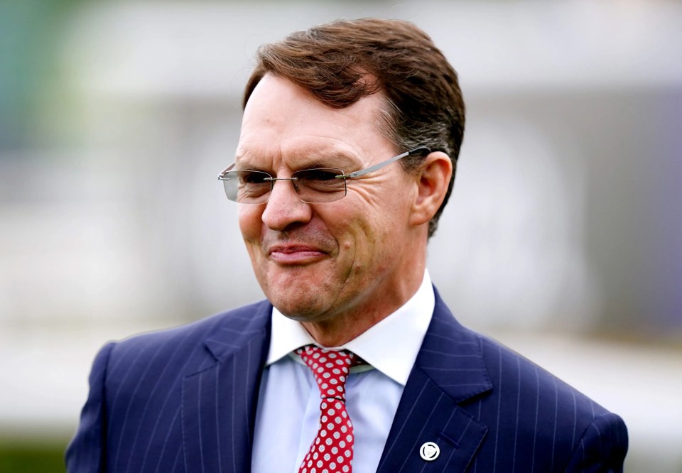 Eyes of the racing world go to Naas as horse tipped to be Aidan O’Brien’s best makes debut