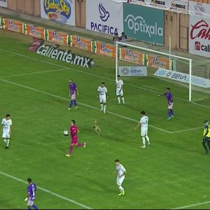 Dog causes chaos during game as it invades pitch before biting ball and escaping capture