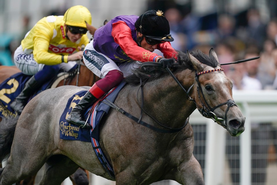 Saga can win £100,000 for The King and Queen as Ryan Moore says 14-1 Cambridgeshire handicap runner has a huge chance