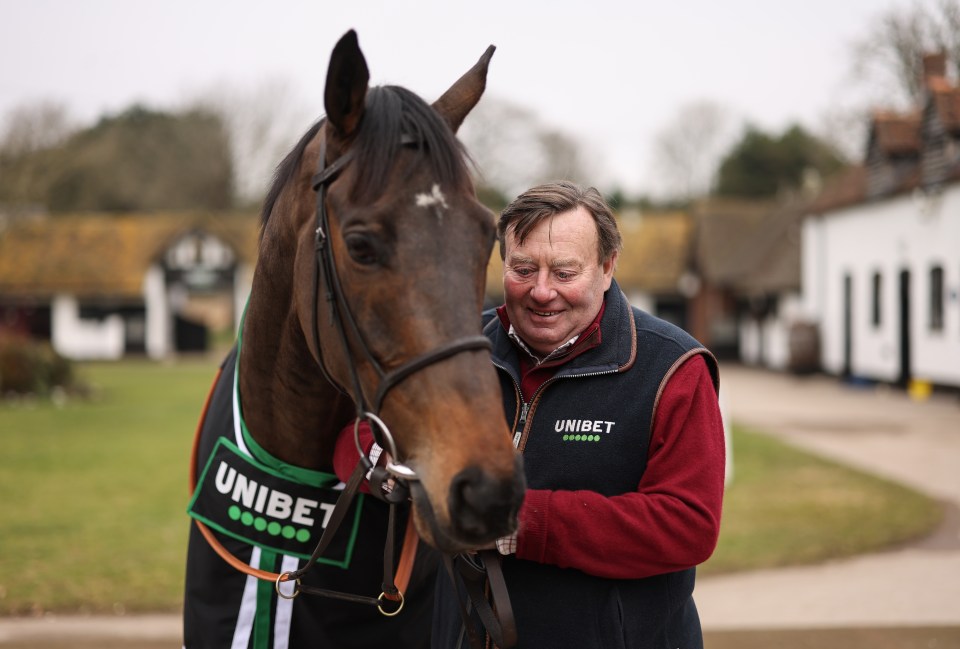 Nicky Henderson issues Constitution Hill update with chasing ruled out ‘unless we’re absolutely sure’