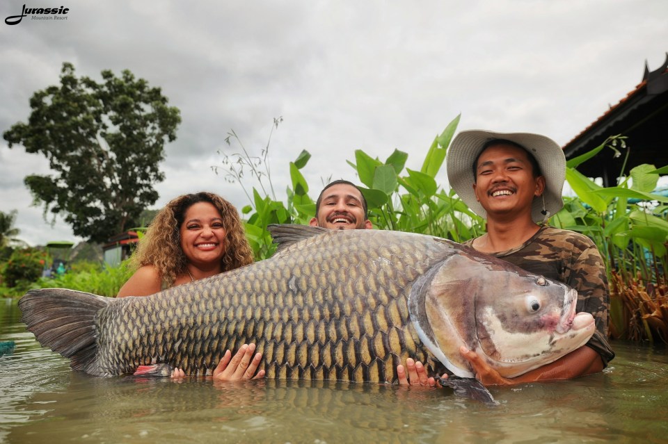 Former UFC star catches monster fish in his own WEIGHT DIVISION leaving fans in disbelief