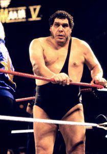 WWE fans ‘minds blown’ by incredible throwback picture of Andre the Giant on plane – as astonishing toilet story emerges