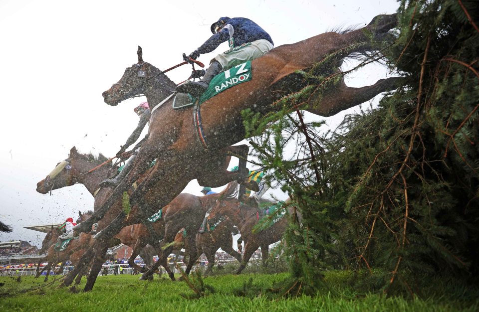 Grand National undergoes radical overhaul with five major changes confirmed including slashing the number of runners