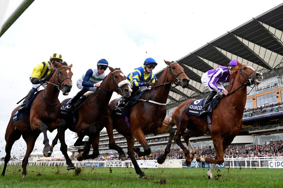 Latest on the weather forecast and ground for Champions Day at Ascot as bookies say it’s 15-8 to get called off