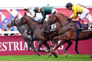 Prix de l’Arc de Triomphe horse numbers 2023 – full list of runners for huge Paris showpiece