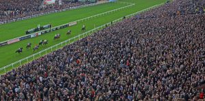 I’m certain this 25-1 shot is perfect for the Grand National – Templegate’s top four tips for the jumps season