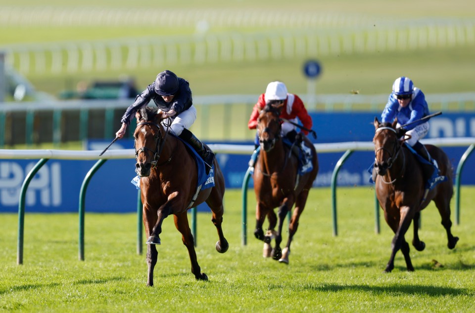 Star horse City Of Troy compared to the all-time great Frankel after winning easily at Newmarket