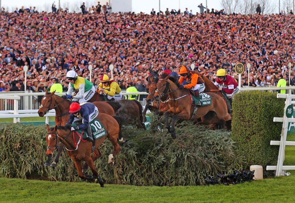 Grand National changes show those in charge of racing have caved in – why won’t someone stick up for our sport?