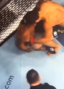 McGregor posts now-deleted tweet after controversial new footage emerges from Makhachev’s UFC 294 win over Volkanovski