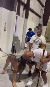 Watch bizarre moment boxing legend Mike Tyson gets on hands and knees before rubbing heads with a giant dog