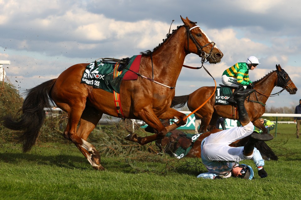 Huge changes to the Grand National are coming but at some point we have to stop and say ‘enough is enough’