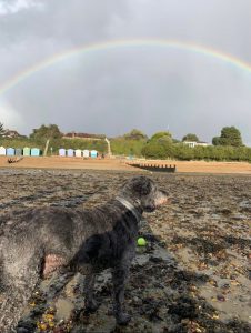 Sky Sports legend Jeff Stelling left ‘heartbroken’ as beloved dog Stan dies after long health battle