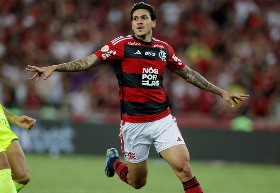 Fulham expected to make transfer offer for Brazilian star with 33 goals this year as they look to end striker woes