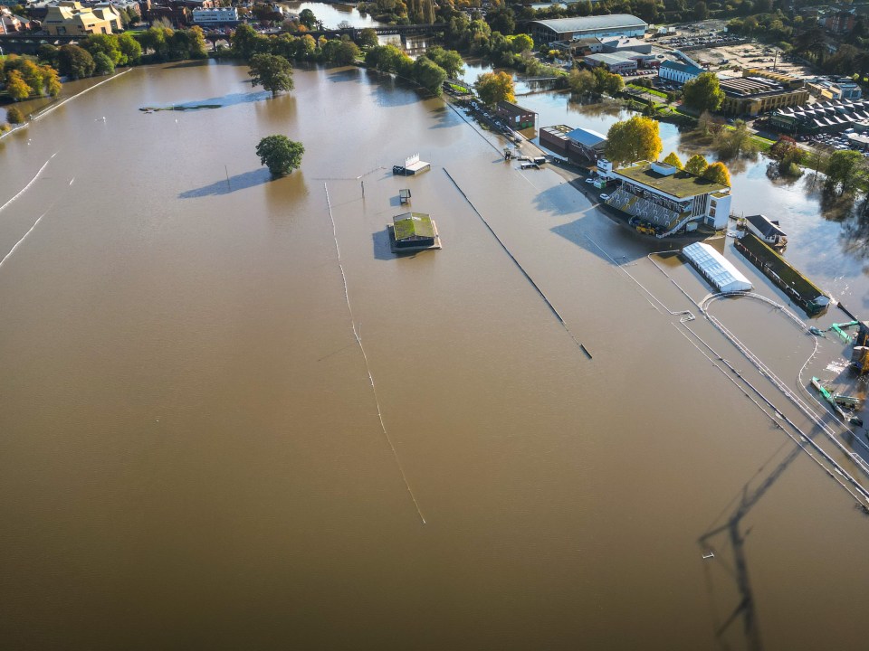 Racecourses underwater with mass cancellations feared as Storm Ciaran batters UK & meetings next week already abandoned