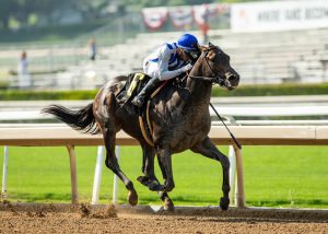 Breeders’ Cup rocked by second horse death as Geaux Rocket Ride passes away after ‘very rare’ reaction to surgery