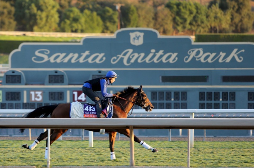 Who won Breeders’ Cup Juvenile Fillies 2023? Full results and finishing order for huge race