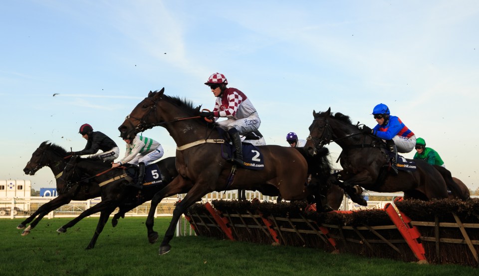 Templegate’s Tote Fantasy tips and top seven horses for packed Ascot and Wetherby racecards