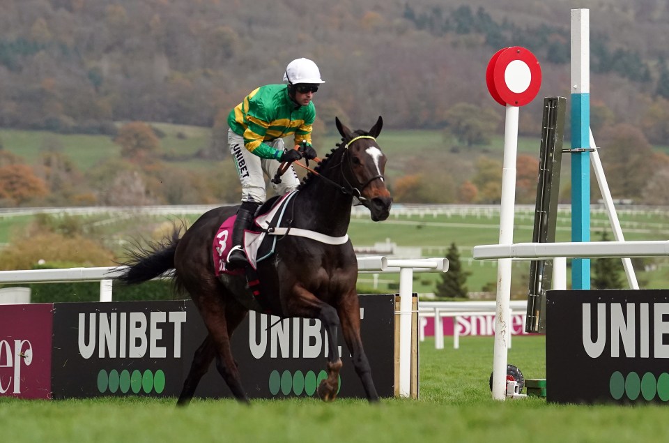 Aidan Coleman racing against time to get back on impressive Tingle Creek-bound Jonbon