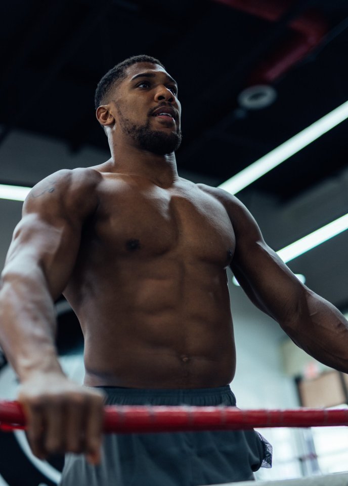 I’m training with Anthony Joshua ahead of his next fight, fans will finally see AJ looking more like his old self