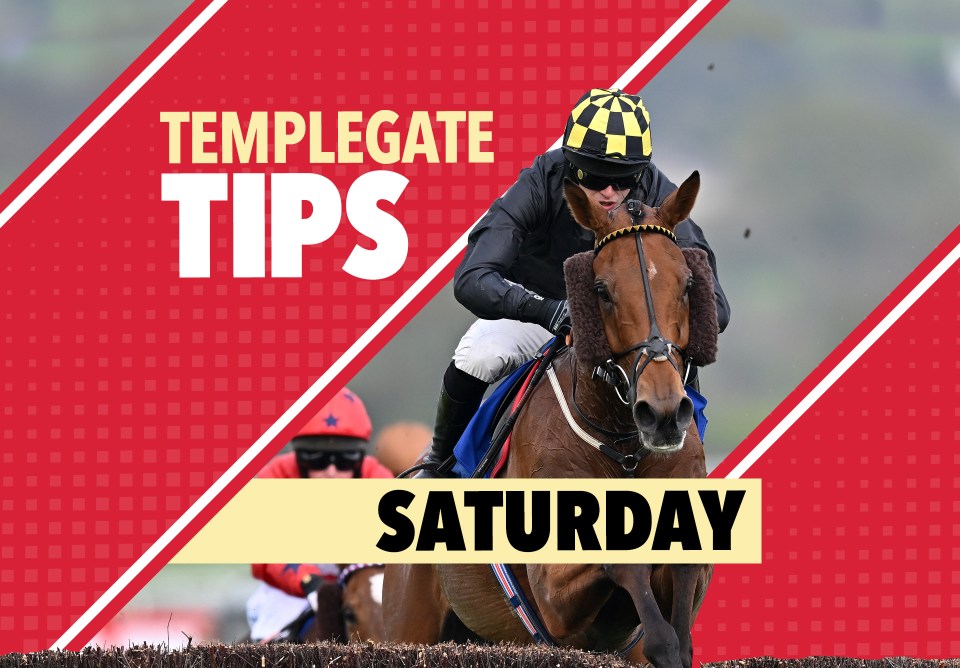 Horse racing tips: Templegate’s NAP will be hard to beat for the champion trainer at Newbury