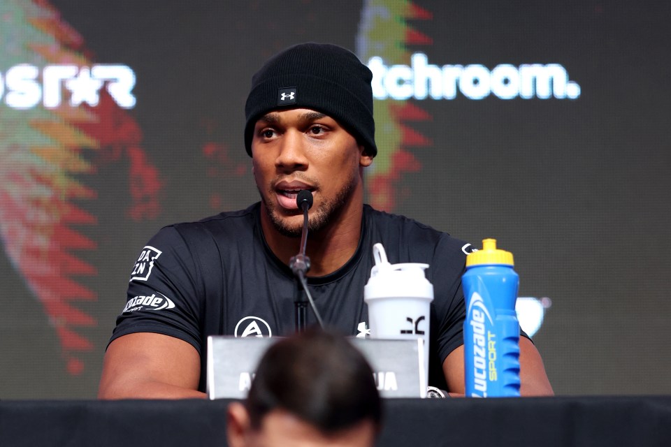 Anthony Joshua fires warning at ‘fat slob’ Tyson Fury and gives his verdict of Gypsy King’s fight with Francis Ngannou