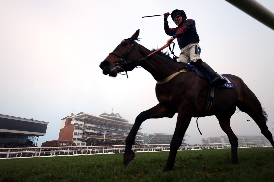 Datsalrightgino wins the Coral Gold Cup at odds of 16-1 after epic ride by jockey Gavin Sheehan