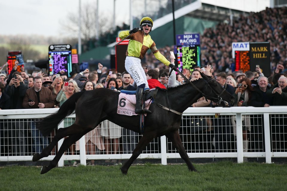 Record low Gold Cup entries as Galopin Des Champs scares off Cheltenham Festival rivals