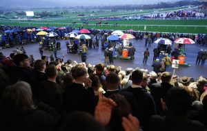 I’m in despair with racing’s new ‘premier’ plan – no one has asked you, the punter, what you want