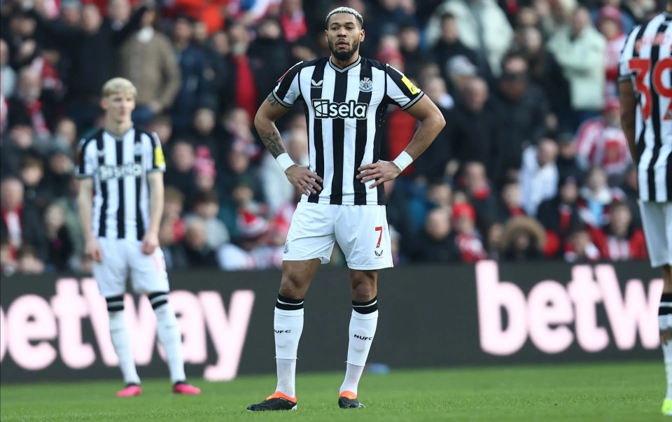 Newcastle suffer huge blow as star midfielder Joelinton ruled out for six weeks with ‘freak’ injury