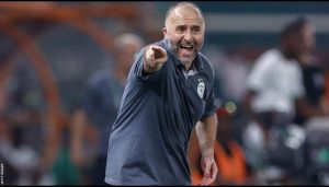 Algeria sack coach Djamel Belmadi after AFCON exit