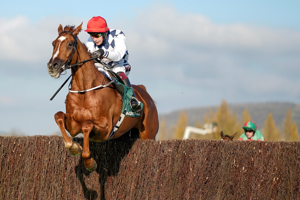 Templegate’s Tote Placepot tips with £50,000 guaranteed for Kempton