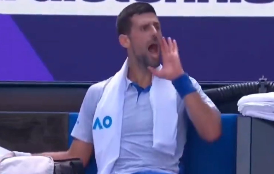 Furious Novak Djokovic has Australian Open meltdown and shouts at his own team… just days after confronting heckler